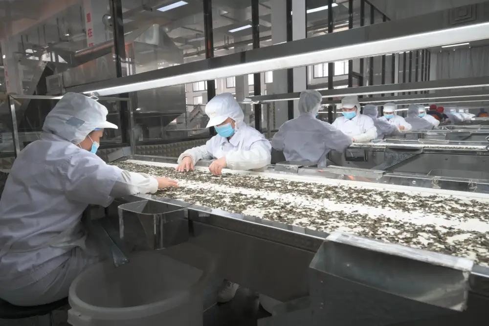 Cleanroom Panel Wall System Installation in Semiconductor Fab